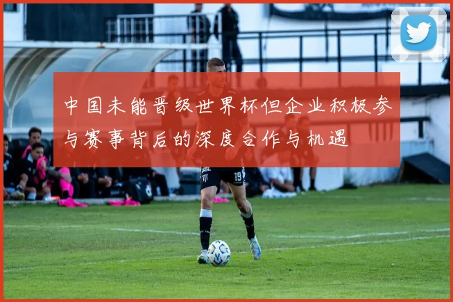 中国未能晋级世界杯但企业积极参与赛事背后的深度合作与机遇