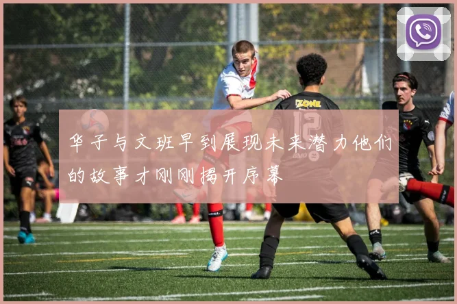 华子与文班早到展现未来潜力他们的故事才刚刚揭开序幕